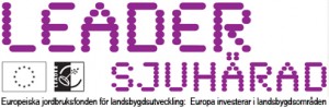 Leader-logo